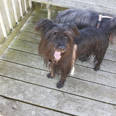 Ausflug im Mai 2016 (7)